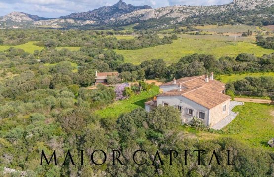 For sale Villa Sea Arzachena  Sardegna