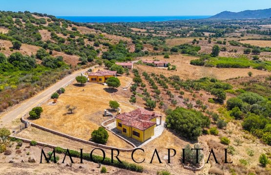 For sale Flat Countryside Capo Comino Sardegna