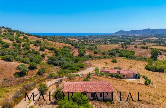 For sale Flat Countryside Capo Comino Sardegna