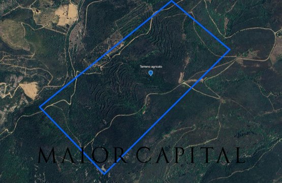For sale Land Countryside San Teodoro Sardegna