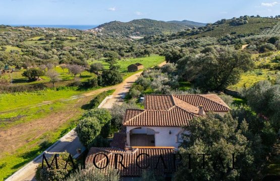 For sale Villa Sea Budoni Sardegna