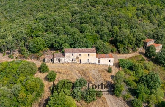 For sale Cottage Countryside Viddalba  Sardegna